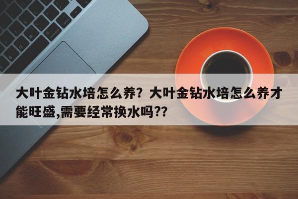 大叶金钻水培怎么养？大叶金钻水培怎么养才能旺盛,需要经常换水吗?？-第1张图片-我家生活百科