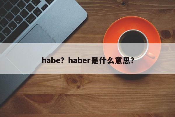 habe？haber是什么意思？-第1张图片-我家生活百科