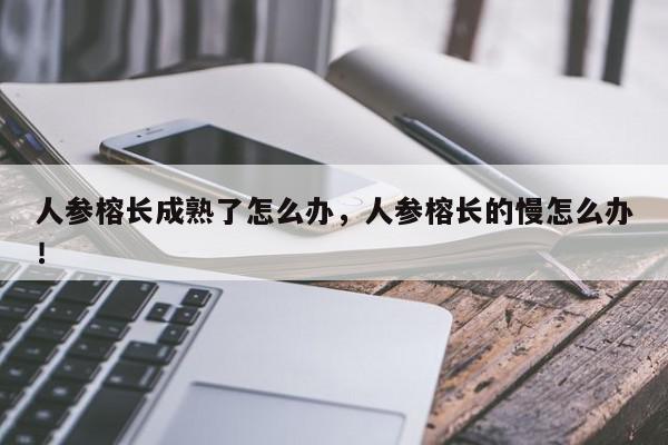 人参榕长成熟了怎么办，人参榕长的慢怎么办！-第1张图片-我家生活百科