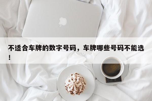 不适合车牌的数字号码，车牌哪些号码不能选！-第1张图片-我家生活百科