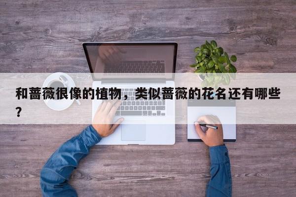 和蔷薇很像的植物，类似蔷薇的花名还有哪些？-第1张图片-我家生活百科