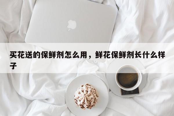 买花送的保鲜剂怎么用，鲜花保鲜剂长什么样子-第1张图片-我家生活百科