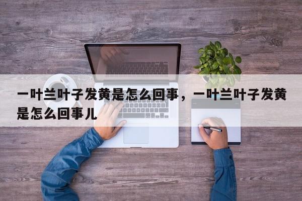 一叶兰叶子发黄是怎么回事，一叶兰叶子发黄是怎么回事儿-第1张图片-我家生活百科