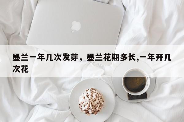 墨兰一年几次发芽，墨兰花期多长,一年开几次花-第1张图片-我家生活百科