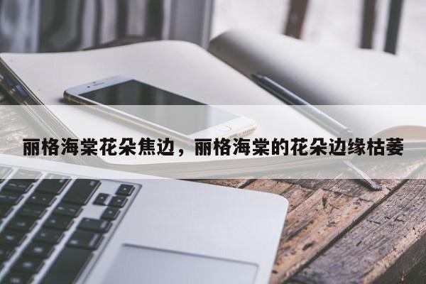 丽格海棠花朵焦边，丽格海棠的花朵边缘枯萎-第1张图片-我家生活百科
