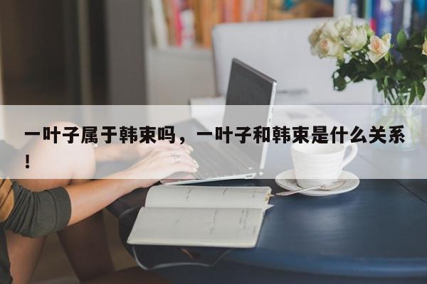 一叶子属于韩束吗，一叶子和韩束是什么关系！-第1张图片-我家生活百科