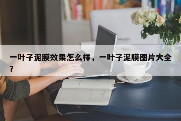一叶子泥膜效果怎么样，一叶子泥膜图片大全？-第1张图片-我家生活百科