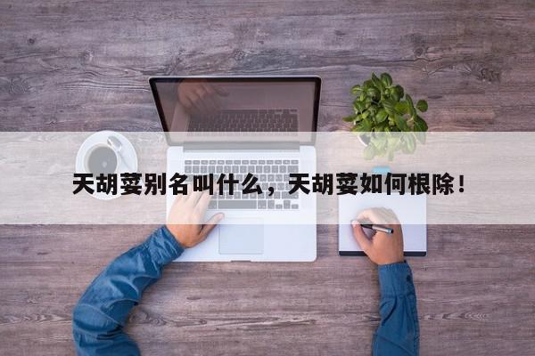 天胡荽别名叫什么，天胡荽如何根除！-第1张图片-我家生活百科
