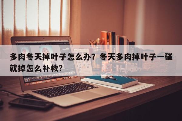多肉冬天掉叶子怎么办？冬天多肉掉叶子一碰就掉怎么补救？-第1张图片-我家生活百科
