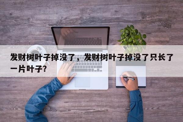 发财树叶子掉没了，发财树叶子掉没了只长了一片叶子？-第1张图片-我家生活百科