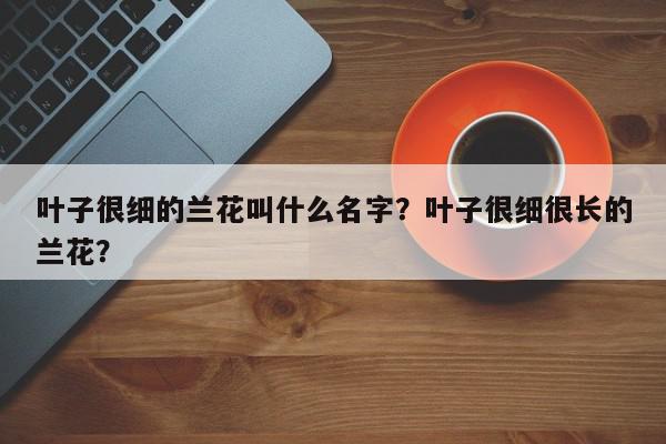 叶子很细的兰花叫什么名字？叶子很细很长的兰花？-第1张图片-我家生活百科