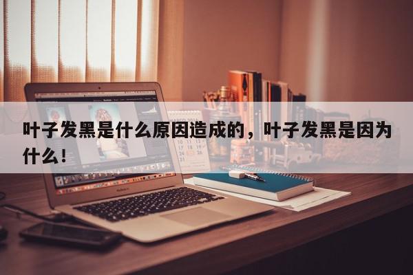 叶子发黑是什么原因造成的，叶子发黑是因为什么！-第1张图片-我家生活百科