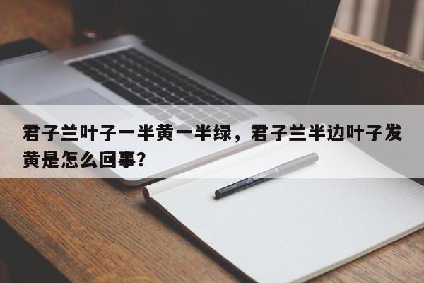 君子兰叶子一半黄一半绿，君子兰半边叶子发黄是怎么回事？-第1张图片-我家生活百科
