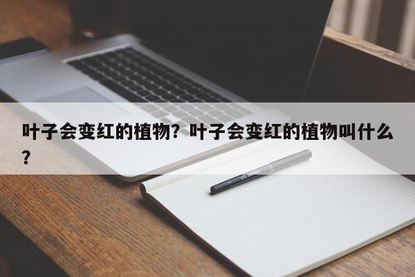 叶子会变红的植物？叶子会变红的植物叫什么？-第1张图片-我家生活百科