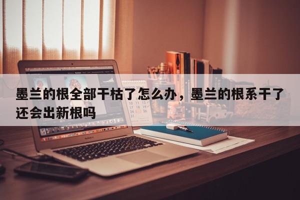 墨兰的根全部干枯了怎么办，墨兰的根系干了还会出新根吗-第1张图片-我家生活百科