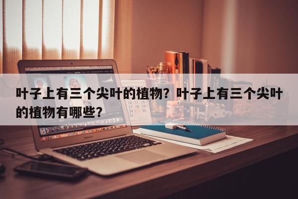 叶子上有三个尖叶的植物？叶子上有三个尖叶的植物有哪些？-第1张图片-我家生活百科