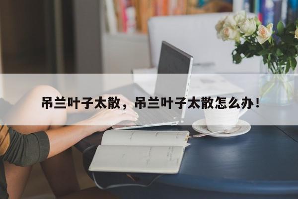 吊兰叶子太散，吊兰叶子太散怎么办！-第1张图片-我家生活百科