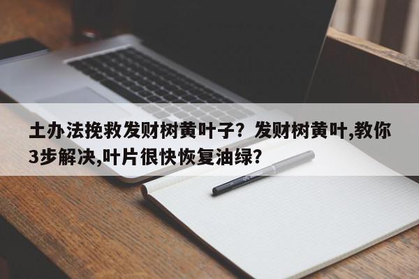 土办法挽救发财树黄叶子？发财树黄叶,教你3步解决,叶片很快恢复油绿？-第1张图片-我家生活百科