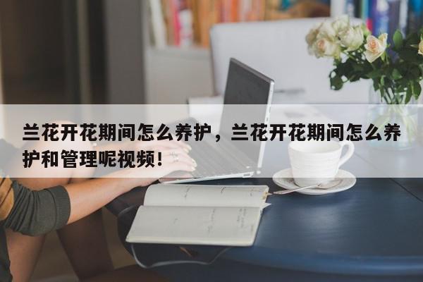 兰花开花期间怎么养护，兰花开花期间怎么养护和管理呢视频！-第1张图片-我家生活百科