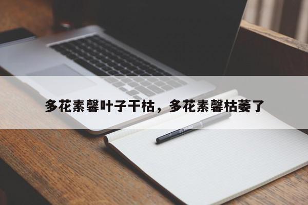 多花素馨叶子干枯,多花素馨枯萎了-第1张图片-我家生活百科 多花素馨叶子干枯,多花素馨枯萎了-第1张图片-我家生活百科