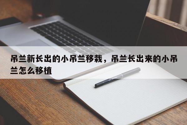 吊兰新长出的小吊兰移栽,吊兰长出来的小吊兰怎么移植-第1张图片-我家生活百科 吊兰新长出的小吊兰移栽,吊兰长出来的小吊兰怎么移植-第1张图片-我家生活百科