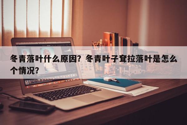 冬青落叶什么原因?冬青叶子耷拉落叶是怎么个情况?-第1张图片-我家生活百科 冬青落叶什么原因?冬青叶子耷拉落叶是怎么个情况?-第1张图片-我家生活百科