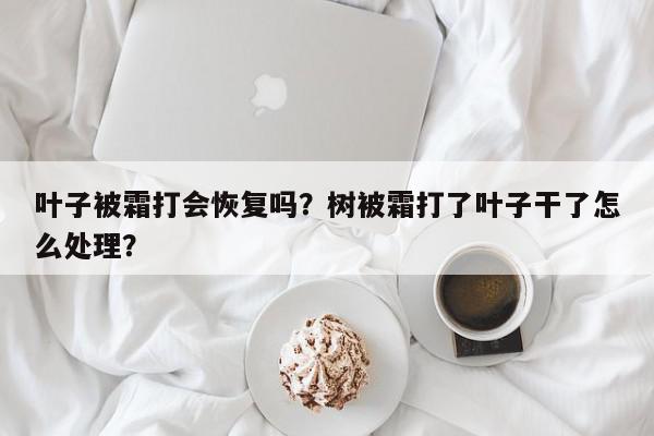 叶子被霜打会恢复吗?树被霜打了叶子干了怎么处理?-第1张图片-我家生活百科 叶子被霜打会恢复吗?树被霜打了叶子干了怎么处理?-第1张图片-我家生活百科