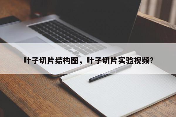 叶子切片结构图，叶子切片实验视频？-第1张图片-我家生活百科