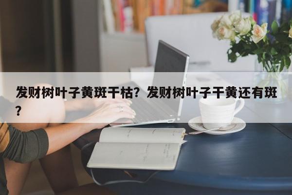 发财树叶子黄斑干枯？发财树叶子干黄还有斑？-第1张图片-我家生活百科