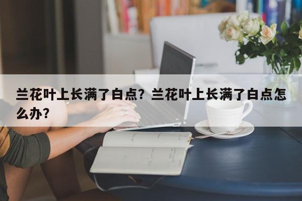 兰花叶上长满了白点？兰花叶上长满了白点怎么办？-第1张图片-我家生活百科