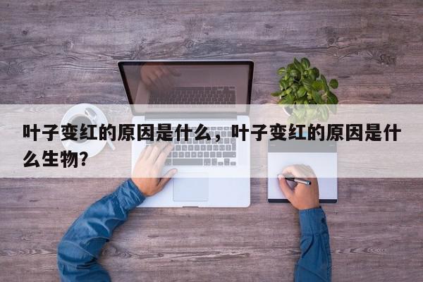 叶子变红的原因是什么，叶子变红的原因是什么生物？-第1张图片-我家生活百科