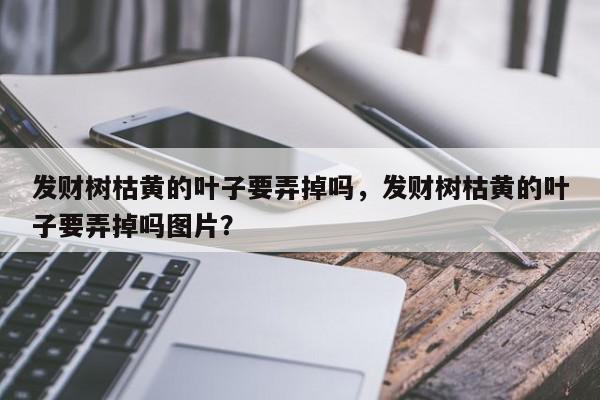 发财树枯黄的叶子要弄掉吗，发财树枯黄的叶子要弄掉吗图片？-第1张图片-我家生活百科