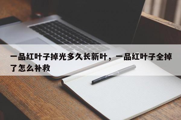 一品红叶子掉光多久长新叶，一品红叶子全掉了怎么补救-第1张图片-我家生活百科