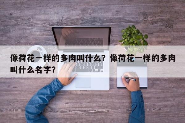 像荷花一样的多肉叫什么？像荷花一样的多肉叫什么名字？-第1张图片-我家生活百科