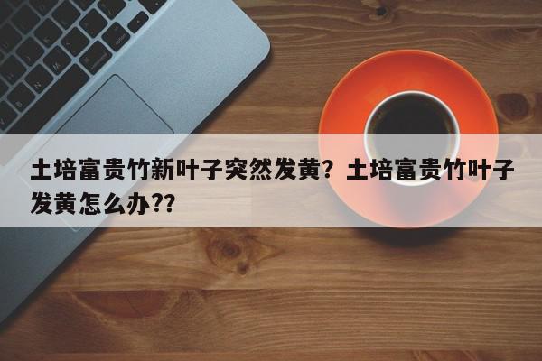 土培富贵竹新叶子突然发黄？土培富贵竹叶子发黄怎么办?？-第1张图片-我家生活百科