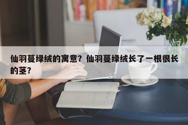 仙羽蔓绿绒的寓意?仙羽蔓绿绒长了一根很长的茎?-第1张图片-我家生活百科 仙羽蔓绿绒的寓意?仙羽蔓绿绒长了一根很长的茎?-第1张图片-我家生活百科