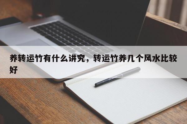 养转运竹有什么讲究，转运竹养几个风水比较好-第1张图片-我家生活百科