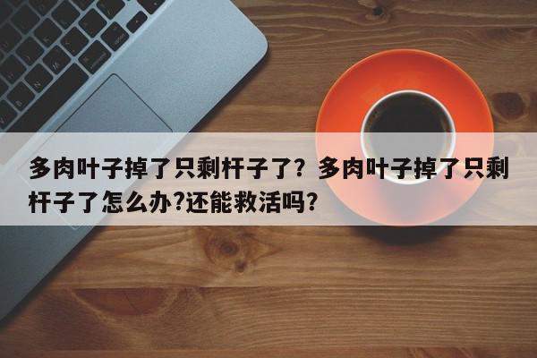 多肉叶子掉了只剩杆子了?多肉叶子掉了只剩杆子了怎么办?还能救活吗?-第1张图片-我家生活百科 多肉叶子掉了只剩杆子了?多肉叶子掉了只剩杆子了怎么办?还能救活吗?-第1张图片-我家生活百科