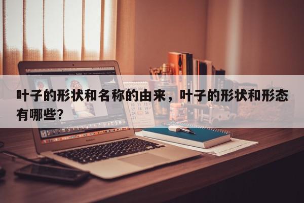 叶子的形状和名称的由来,叶子的形状和形态有哪些?-第1张图片-我家生活百科 叶子的形状和名称的由来,叶子的形状和形态有哪些?-第1张图片-我家生活百科