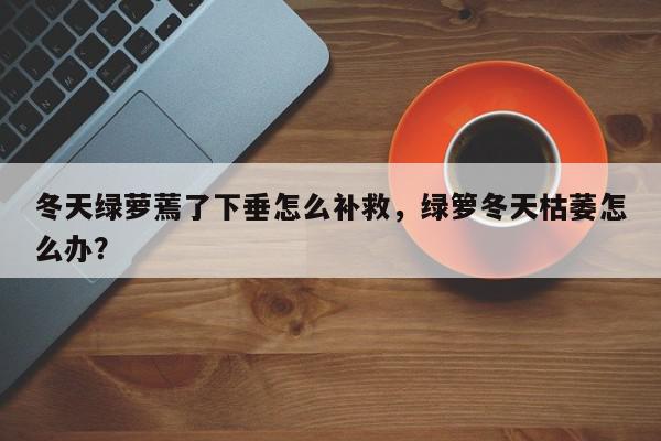 冬天绿萝蔫了下垂怎么补救，绿箩冬天枯萎怎么办？-第1张图片-我家生活百科