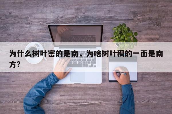 为什么树叶密的是南，为啥树叶稠的一面是南方？-第1张图片-我家生活百科