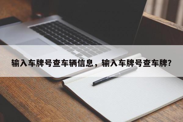 输入车牌号查车辆信息，输入车牌号查车牌？-第1张图片-我家生活百科