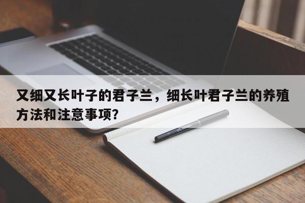 又细又长叶子的君子兰，细长叶君子兰的养殖方法和注意事项？-第1张图片-我家生活百科