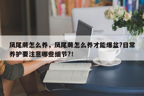 凤尾蕨怎么养，凤尾蕨怎么养才能爆盆?日常养护要注意哪些细节?！-第1张图片-我家生活百科