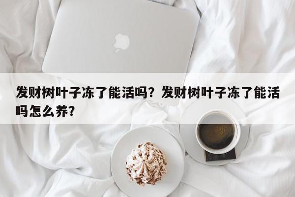 发财树叶子冻了能活吗？发财树叶子冻了能活吗怎么养？-第1张图片-我家生活百科
